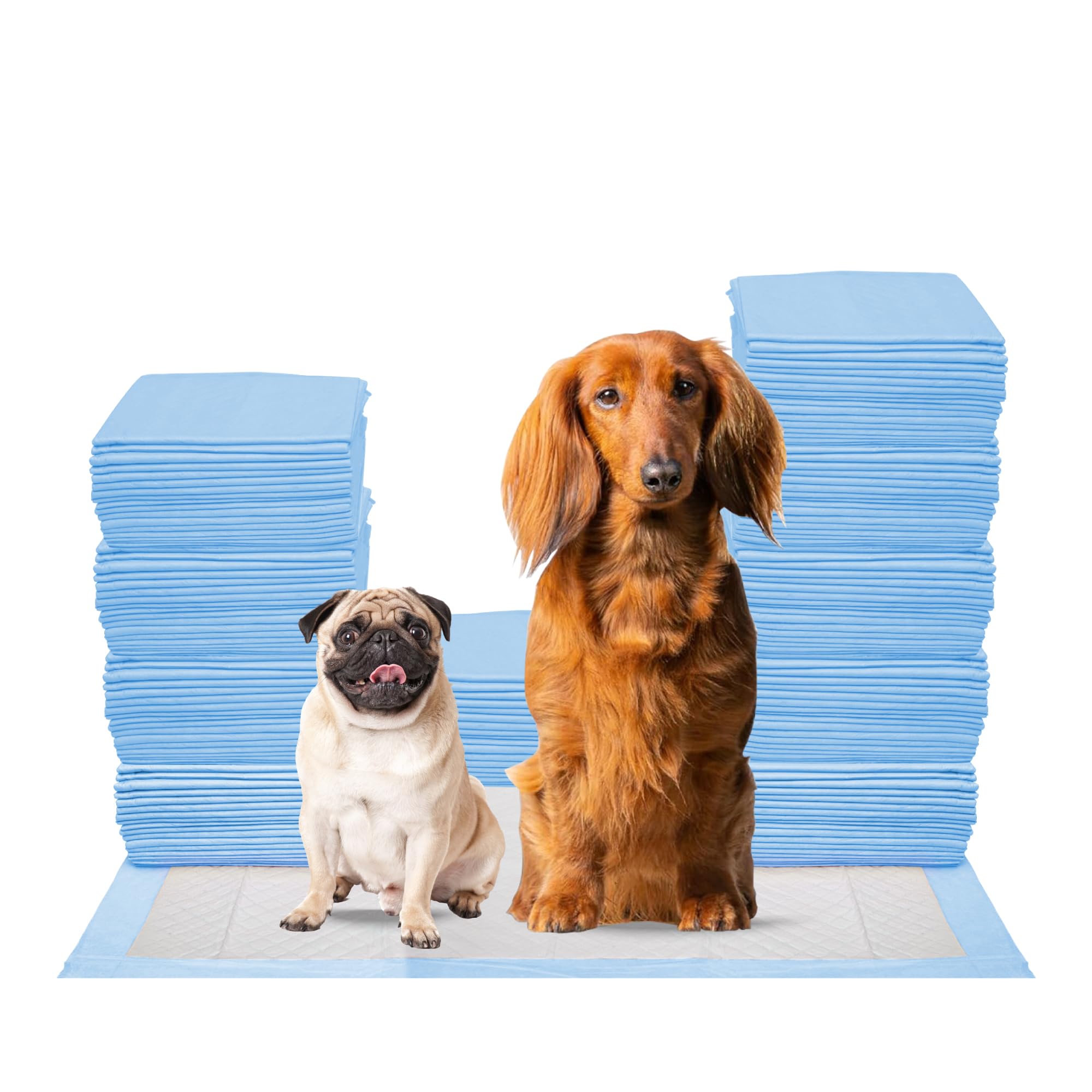 FPN Pet Training Pads 13x18 Inch 100-Pack - Ultra-Absorbent Leak-Proof Fast-Drying 5-Layer Protection Anti-Slip Odor Control for Dogs Cats - Ideal for All Pets (100 13x18 in - Small)