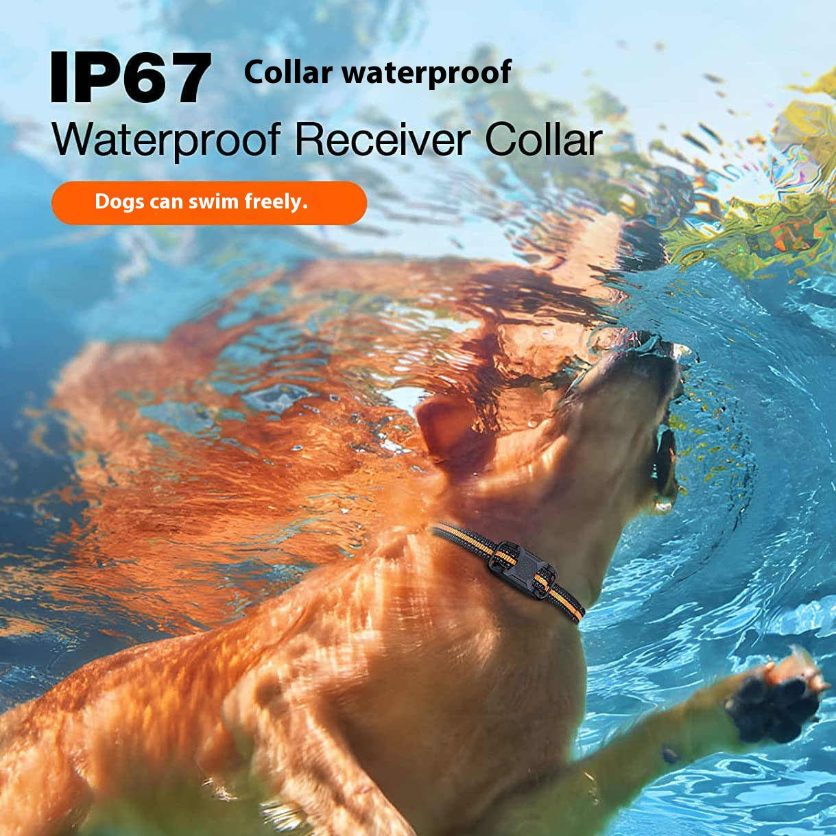 Waterproof Remote Dog Training Collar