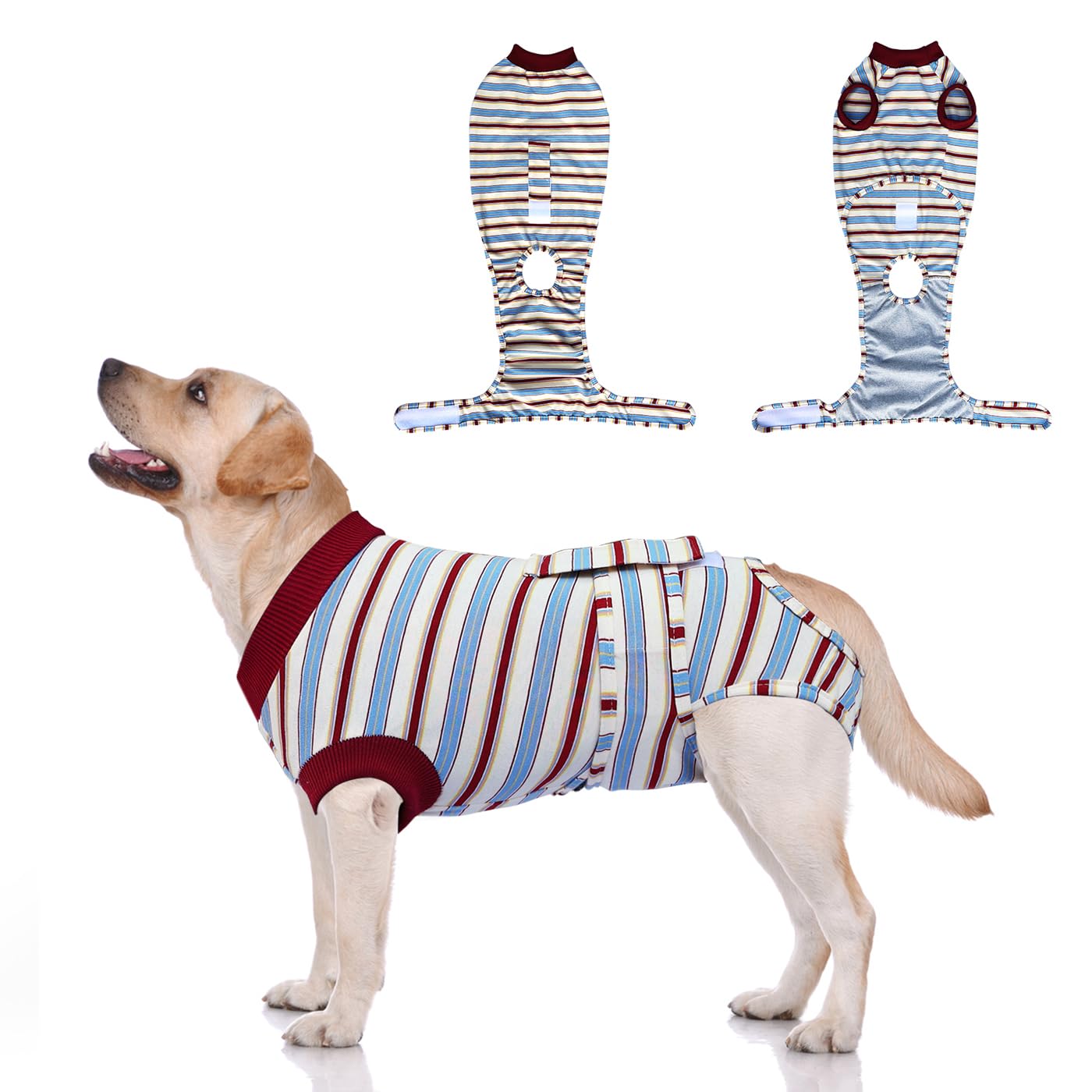 Puptoceed Dog Surgery Rrecovery Suit Dog Onesies for Surgery Recovery Dog Body Suits After Surgery Dog Recovery Suit Surgery Suit for Dogs Dog Surgery Suit Dog Neuter Recovery SuitM