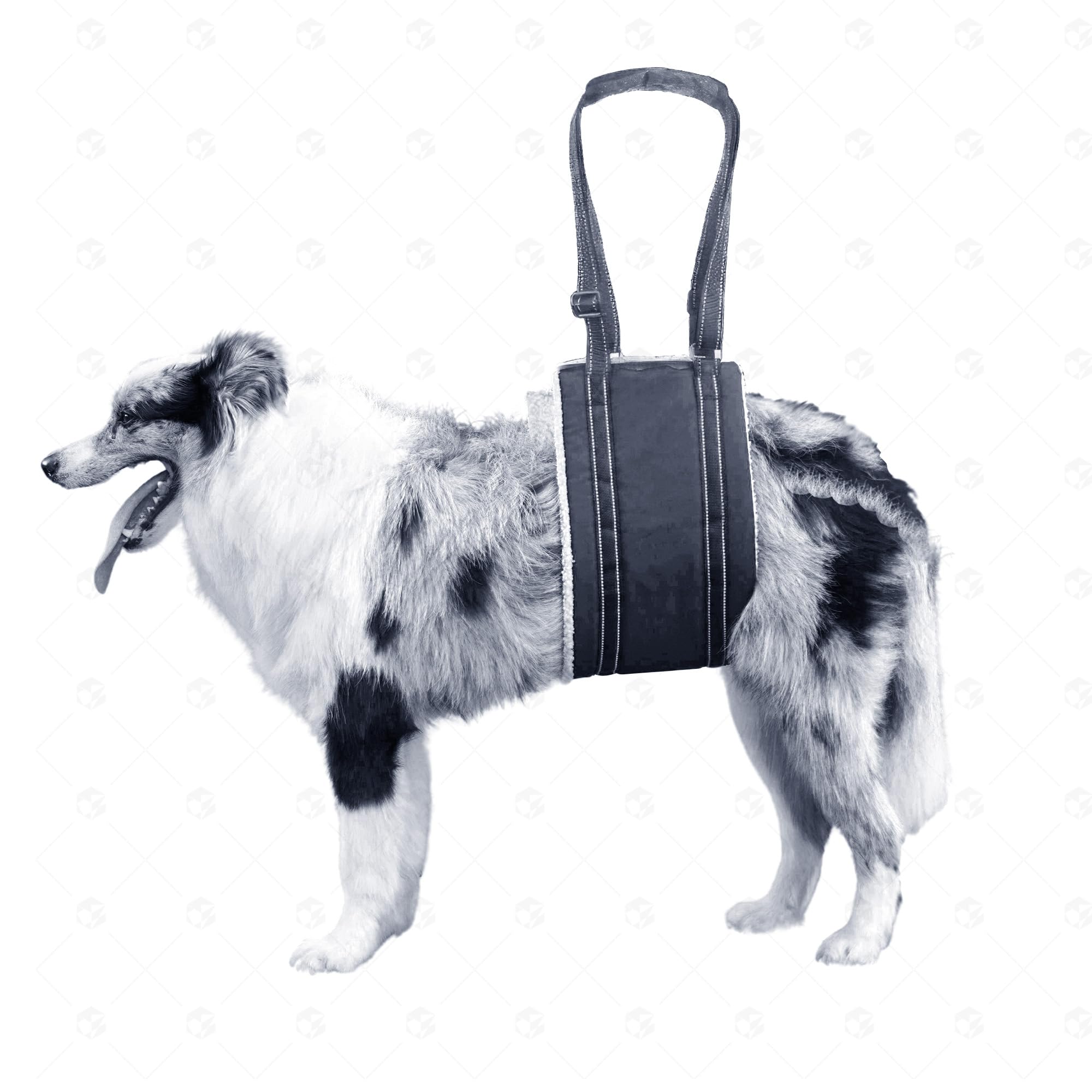 Dog Lift Harness Dog Sling for Large Dogs Hind Leg Support Help Em Up Harness for Dogs Small Dogs Senior Injured Weak Rear Legs Disabled and After Surgery (Black Large)