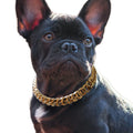 Cuban Link Dog Collar - 3/4 inch Wide Light Metal Gold Chain Dog Necklace Cute Fashion Jewelry Accessories for Puppy Trends Custome for Frenchie Dog Bully Doberman 16 inches