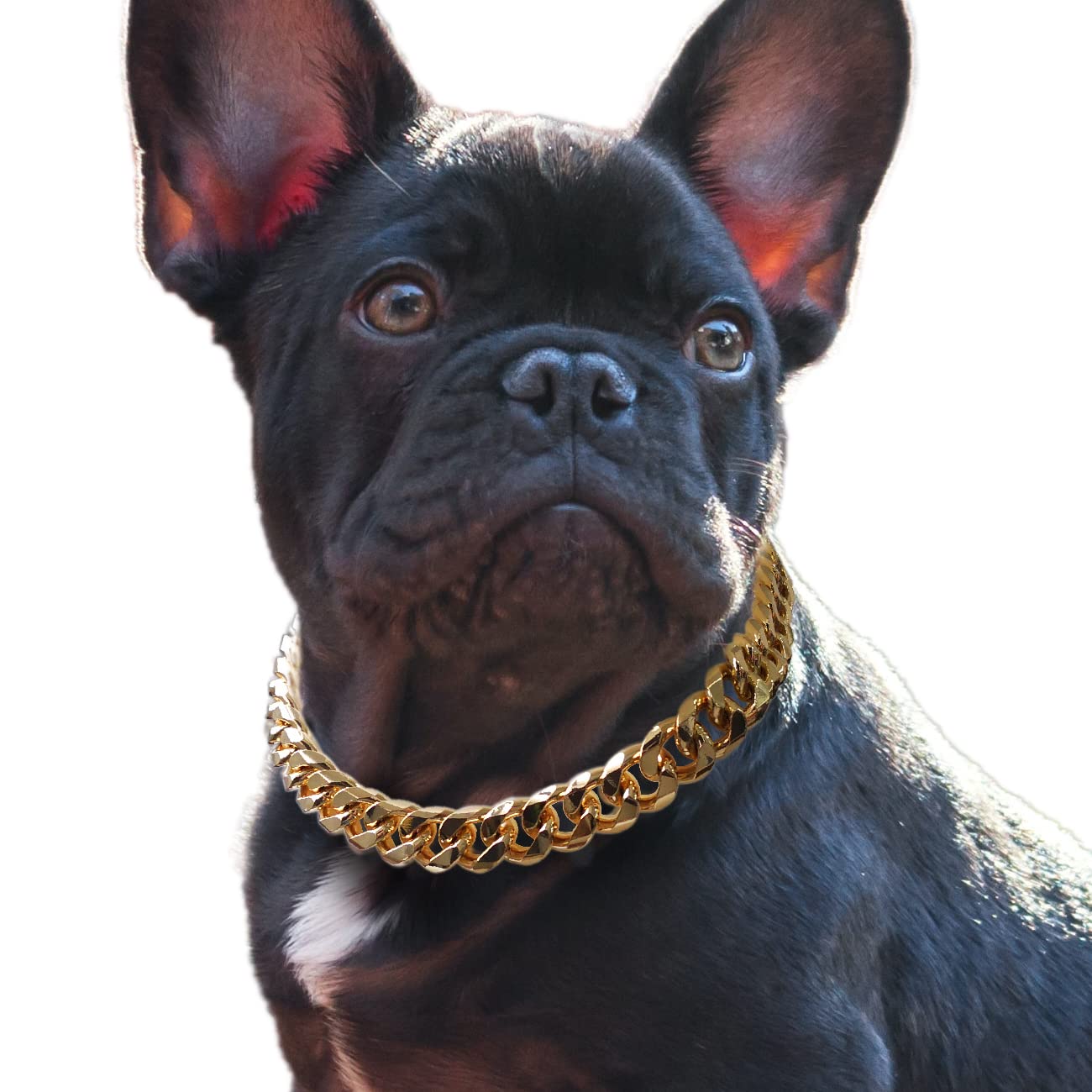 Cuban Link Dog Collar - 3/4 inch Wide Light Metal Gold Chain Dog Necklace Cute Fashion Jewelry Accessories for Puppy Trends Custome for Frenchie Dog Bully Doberman 16 inches