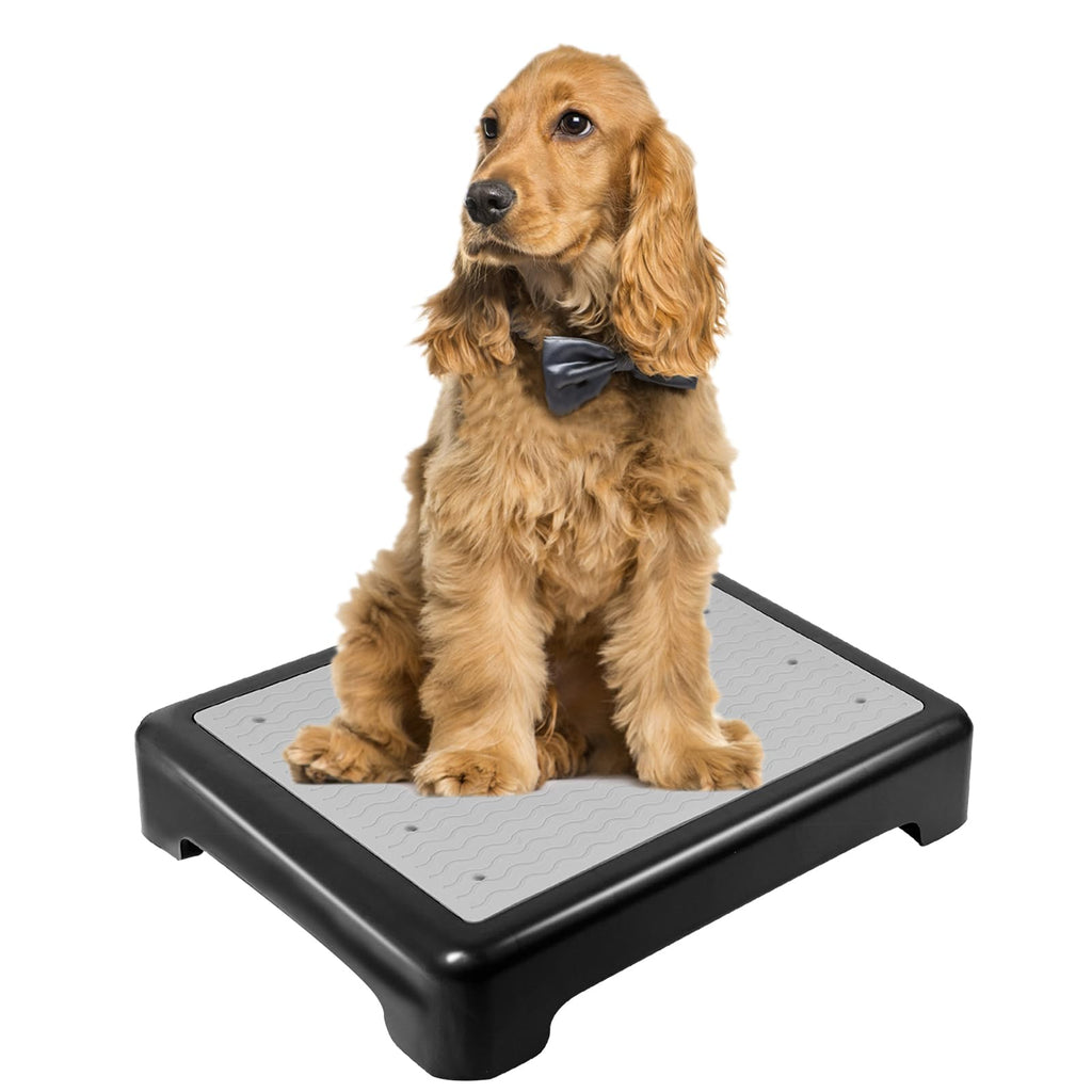 YEXEXINM Dog Training Place Board with Non-Skid Surface Dog Platform for Training Portable Dog Agility Platform，Dog Training Stand Dog Training Equipment Suitable for Small Medium Dogs