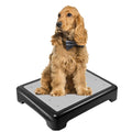 YEXEXINM Dog Training Place Board with Non-Skid Surface Dog Platform for Training Portable Dog Agility Platform，Dog Training Stand Dog Training Equipment Suitable for Small Medium Dogs