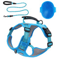 [3 in 1] Heavy Duty Dog Harness No-Pull Reflective Tough Trim Harness for Small Medium & Large Dogs - Military Grade Nylon 2 Leash Clips & Handle with Padded Leash and Brush (Blue Small)