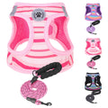 BEAUTYZOO Dog Harness and Leash Set for Small DogsNo Pull Step-in Harness for Puppy XS S Sized Dogs and CatsAir Mesh Adjustable Breathable Soft No Chock Escape Proof Vest HarnessesStriped Pink XXS