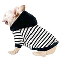 CHEERTAILS Dog Sweaters for Small Dogs Boy Zipper Closure Striped Dog Hoodie for Small Dogs Fleece Small Dogs Sweaters for Boys Frenchie Bulldogs Small Dog Clothes Boy (XS)