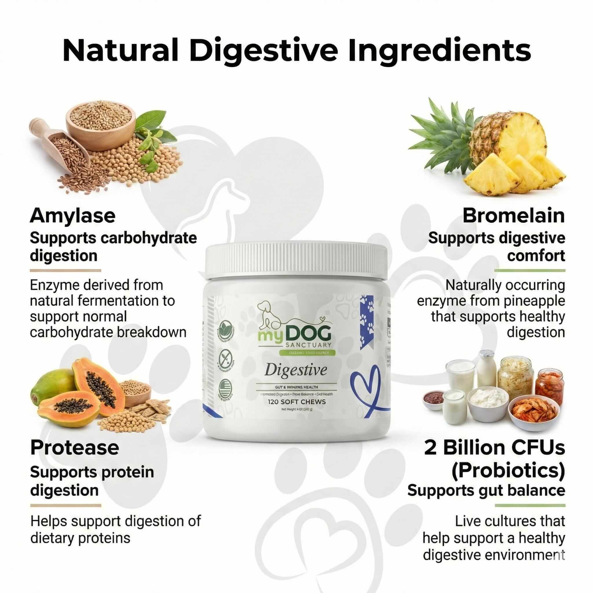 Gut Garden Digestive Support Chews