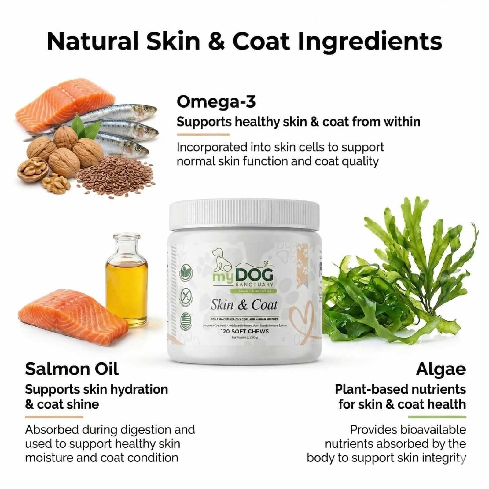 Radiant Refuge Skin & Coat Chews