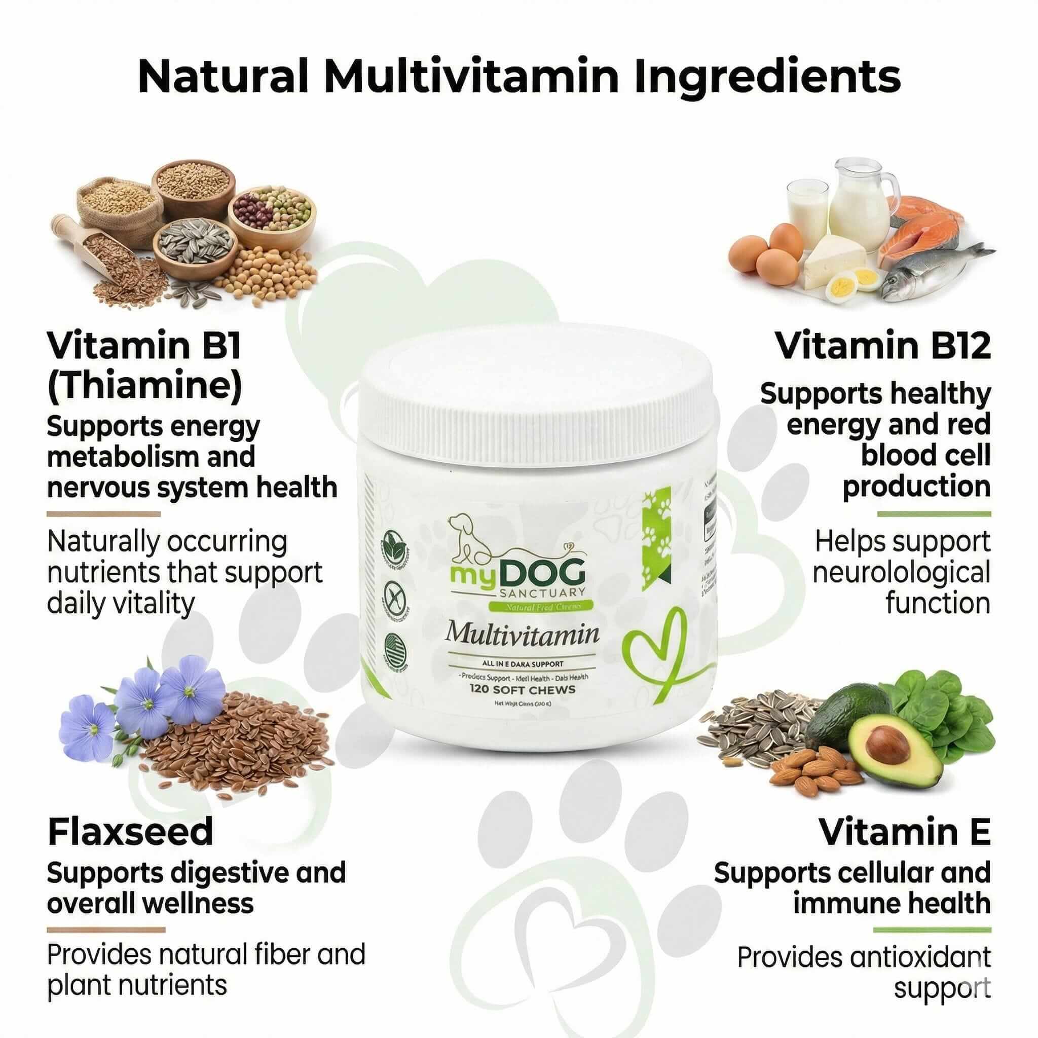 Sanctuary Strength Daily Multivitamin Chews